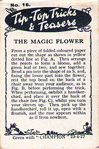 The Magic Flower